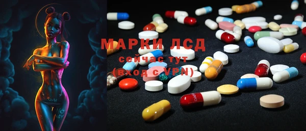 PSILOCYBIN Аркадак